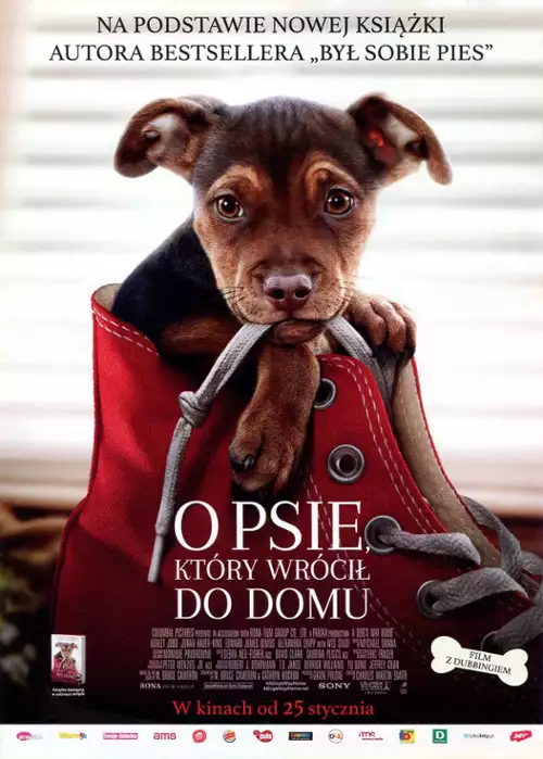 O psie, który wrócił do domu / A Dog's Way Home (2019) PLDUB.BDRip.XviD-KiT / Dubbing PL