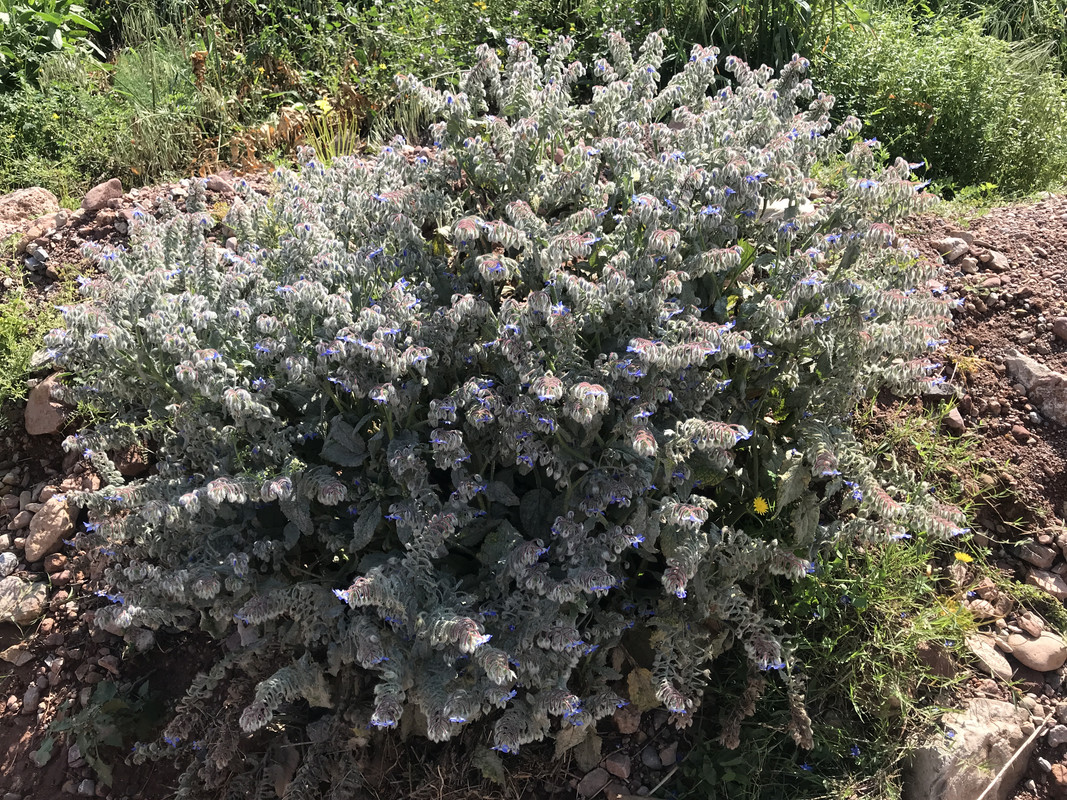 C32E0308-4A0D-4B81-AE67-895B46BDAD3A