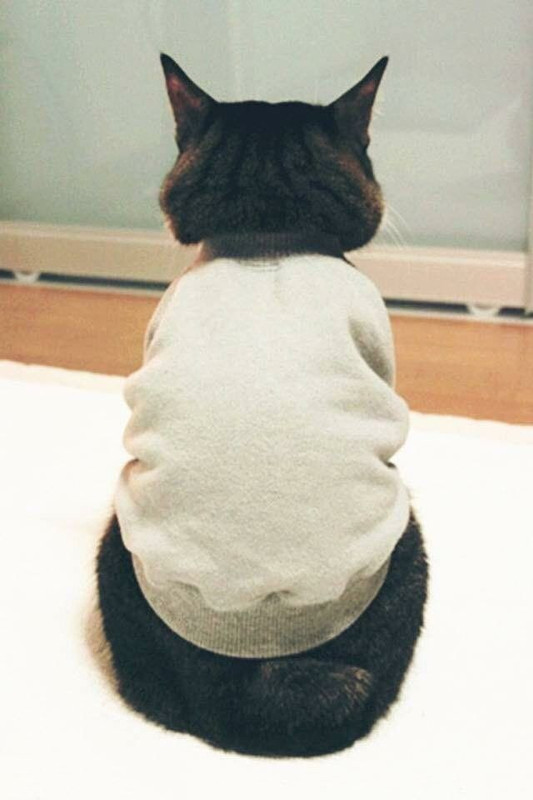 1DA95C95-5F07-431D-80CA-E9BE80A6CD97