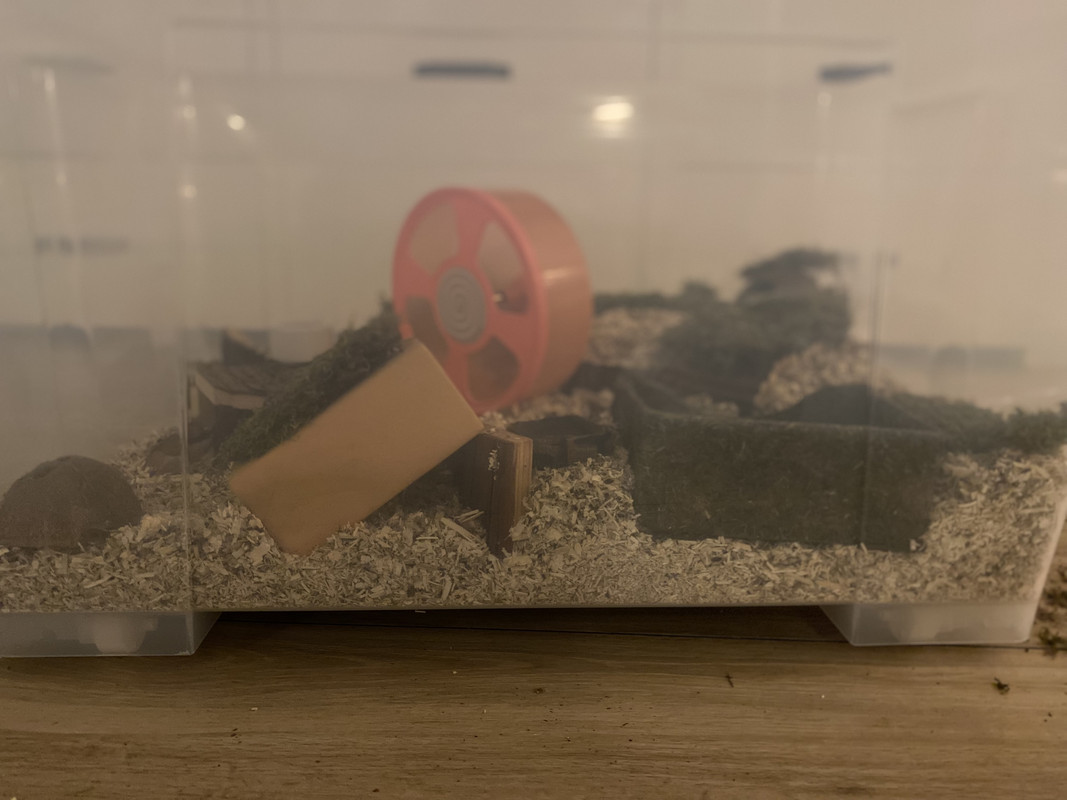 80660029-68CC-4C7A-8B49-8C3678C41106