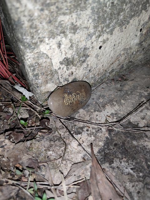 IMG-20201127-211859.jpg