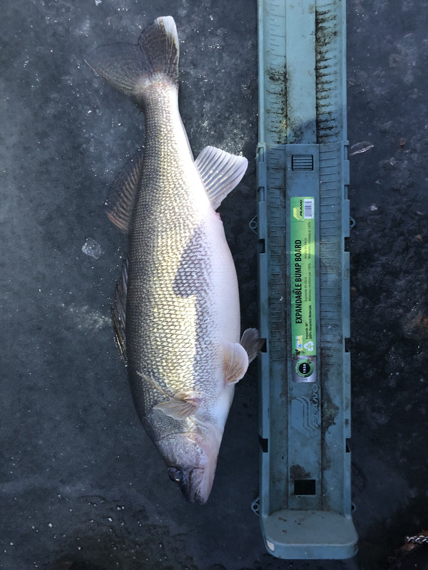 E7A87A6D-C5D8-4DA0-909A-4A85790A856D