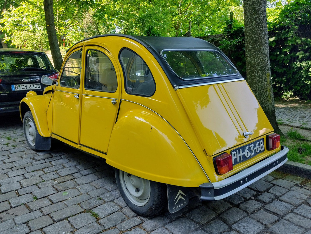 IMG-20240501-103528539-HDR.jpg