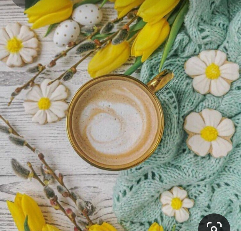 Screenshot_20230415_232347_Pinterest