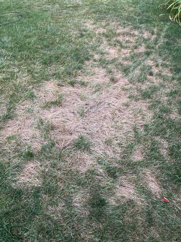 BD76629A-F547-4EB3-93B5-875246C99916