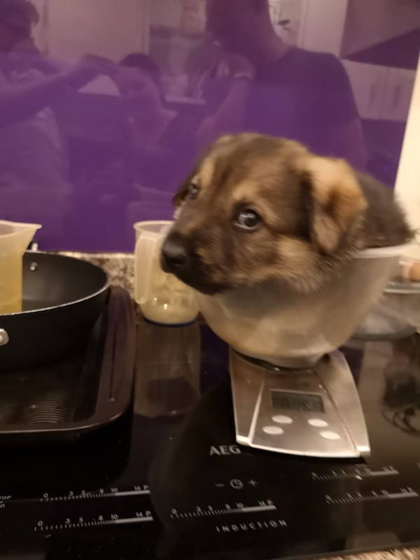 7c76fc19-db06-45e8-a179-15b102978ebe