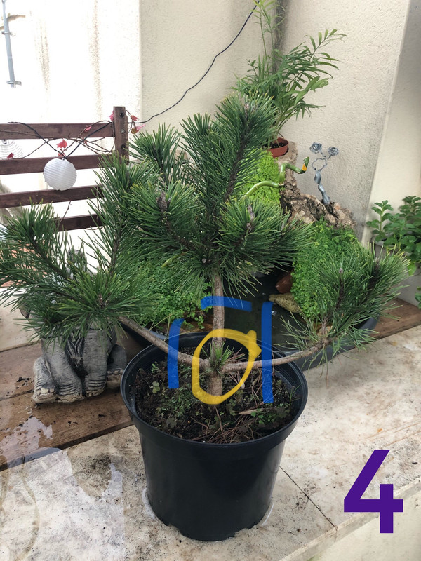 108CD635-C86D-4EEC-AA71-D965C7AC01D0