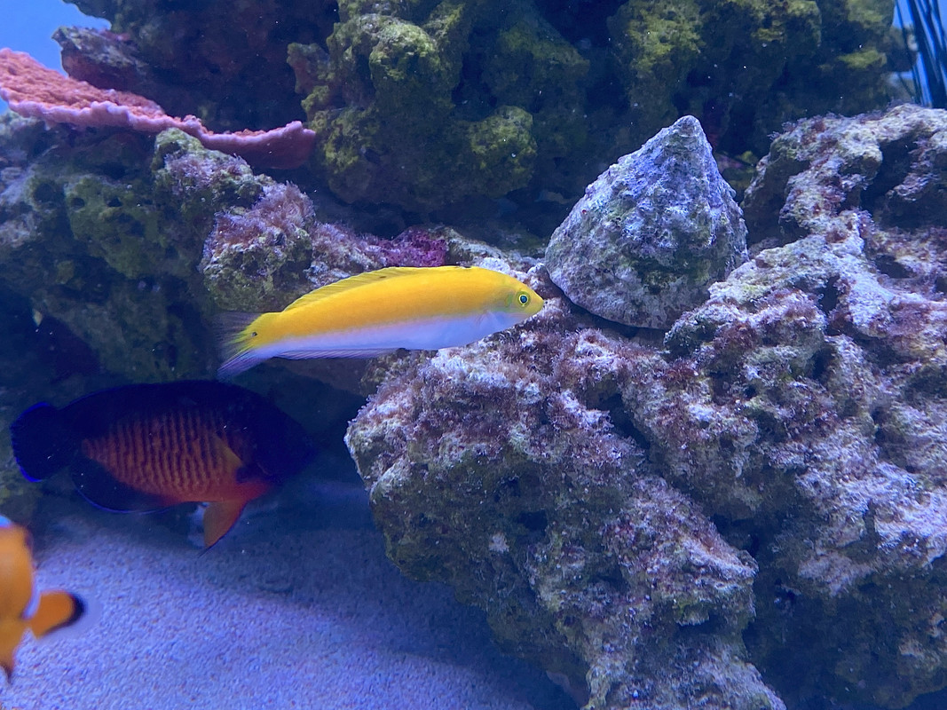 0A042DC0-7C07-4232-A551-E19323C77F64