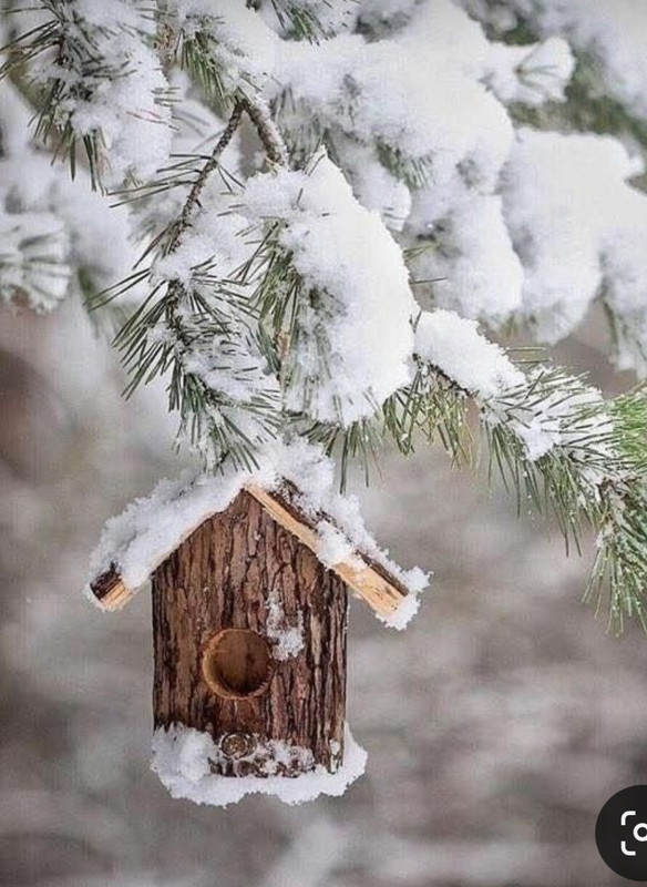 Screenshot_20231210_225242_Pinterest