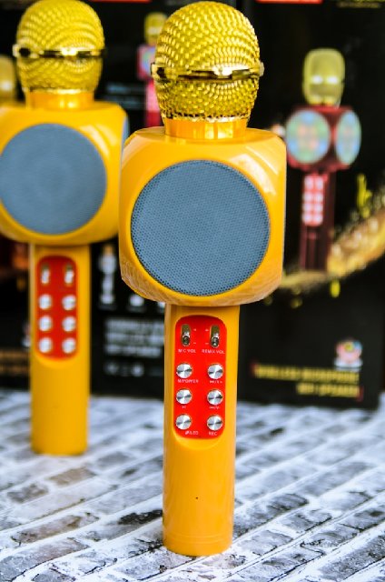 DSC_7331 - копия