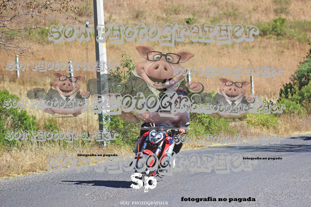 IMG_2343