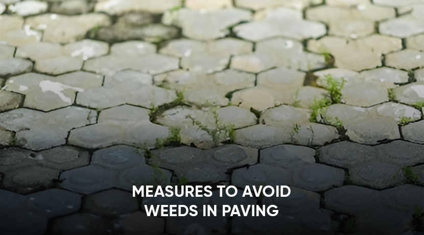 how to stop weeds in block paving