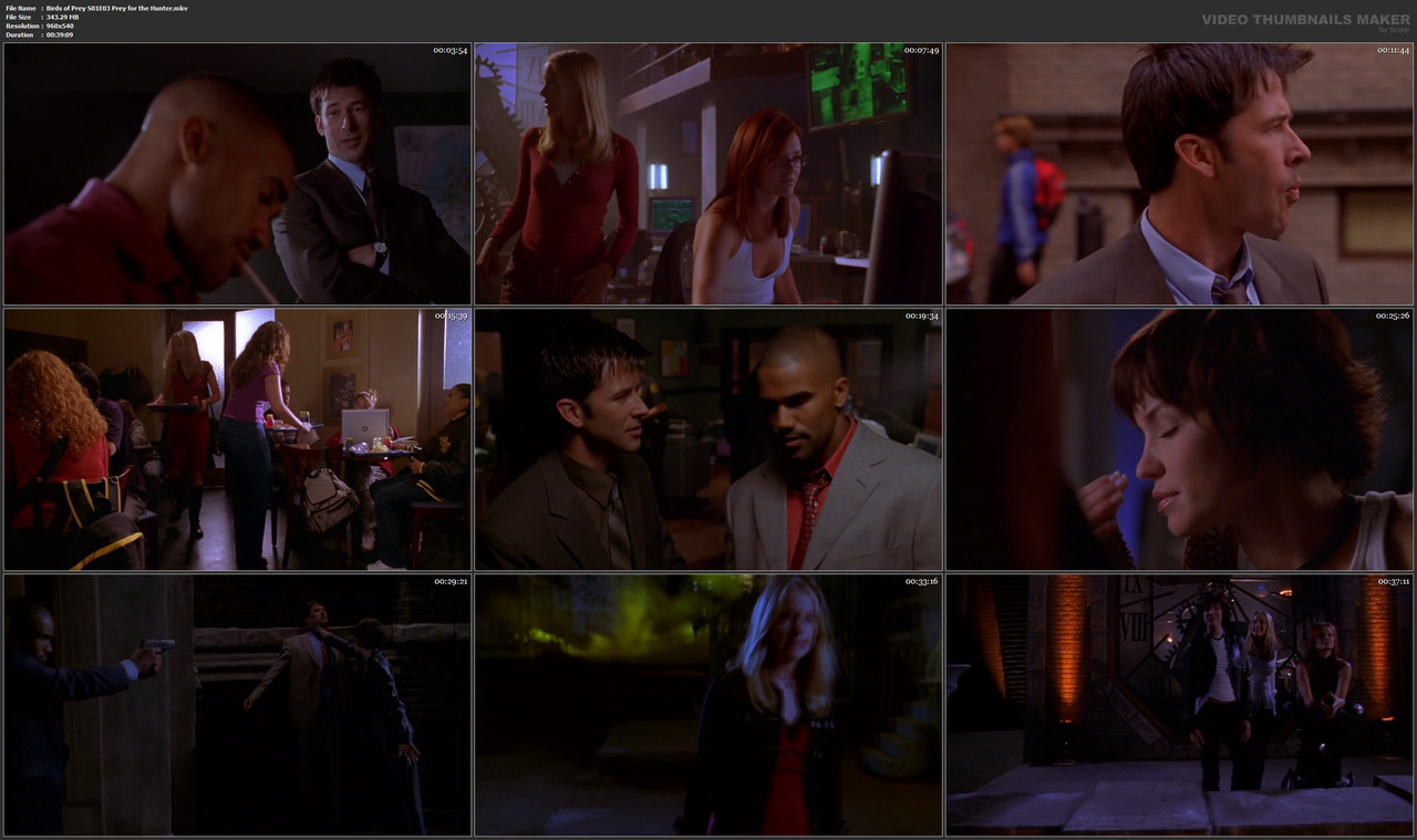 Birds of Prey S01E03 Prey for the Hunter.mkv