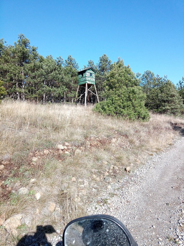 IMG-20231109-113336-6.jpg