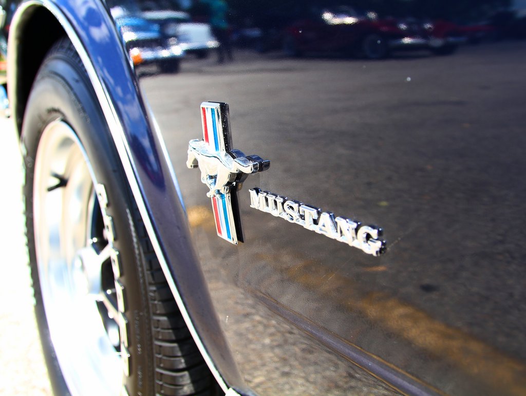 IMAGE: https://i.postimg.cc/8c8NYCyx/Shriners-Car-Show-6-6-2020-183.jpg