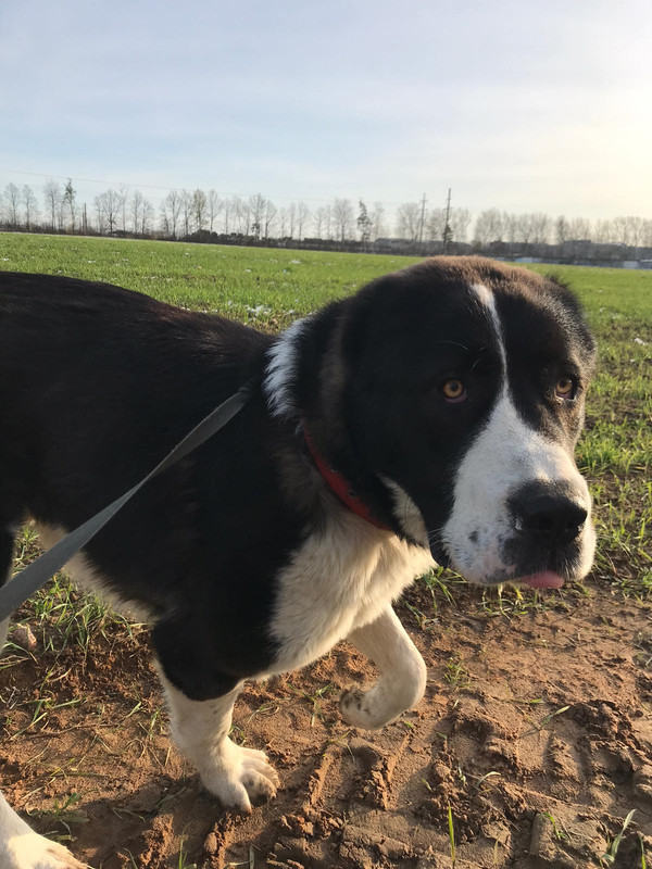 изображение_viber_2019-10-31_16-22-39