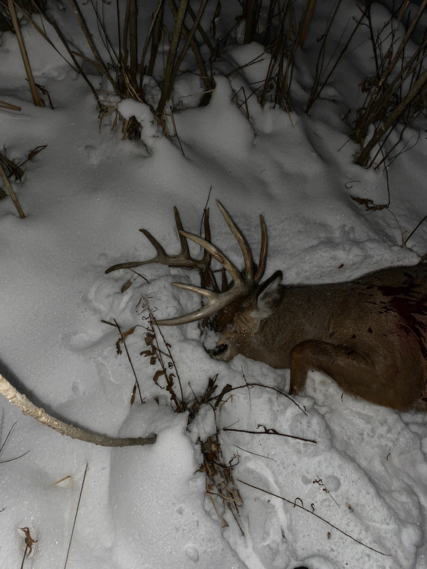 C8F62CBC-AB8C-4EE4-A4FD-5F972762E3F9