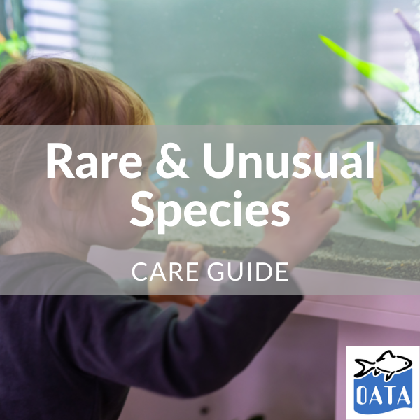 OATA Guide to rare species... - Lincs Aquatics
