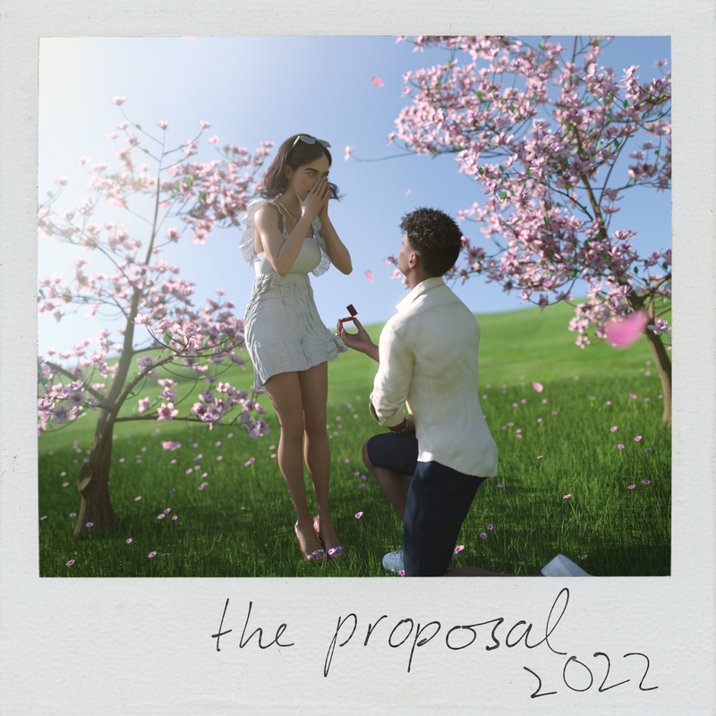 The proposal polaroid