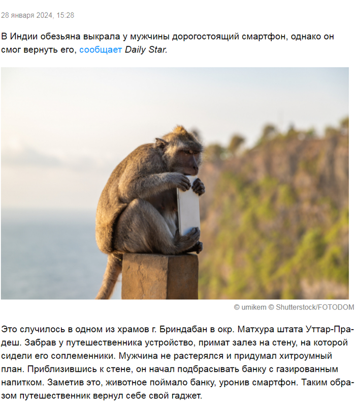 Группа - 3