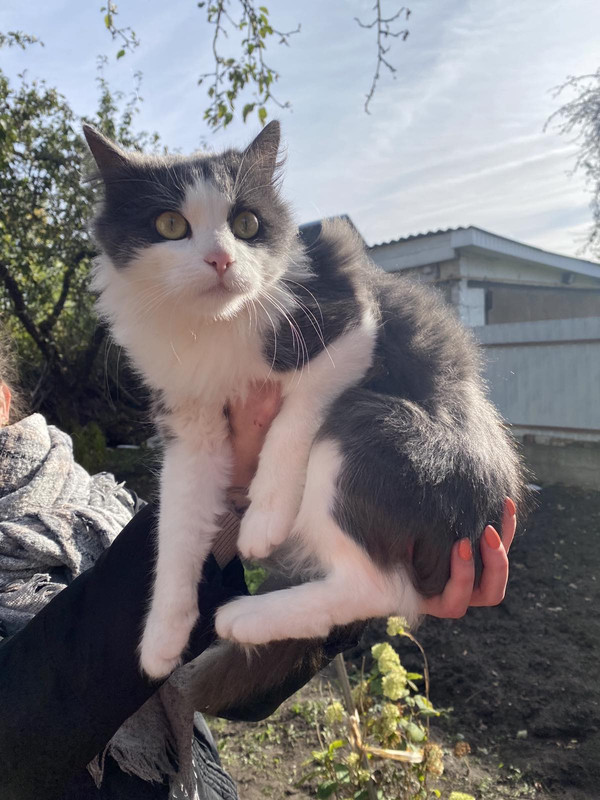 IMG-2497c673aab4d0e2b9b663f248bdbf62-V