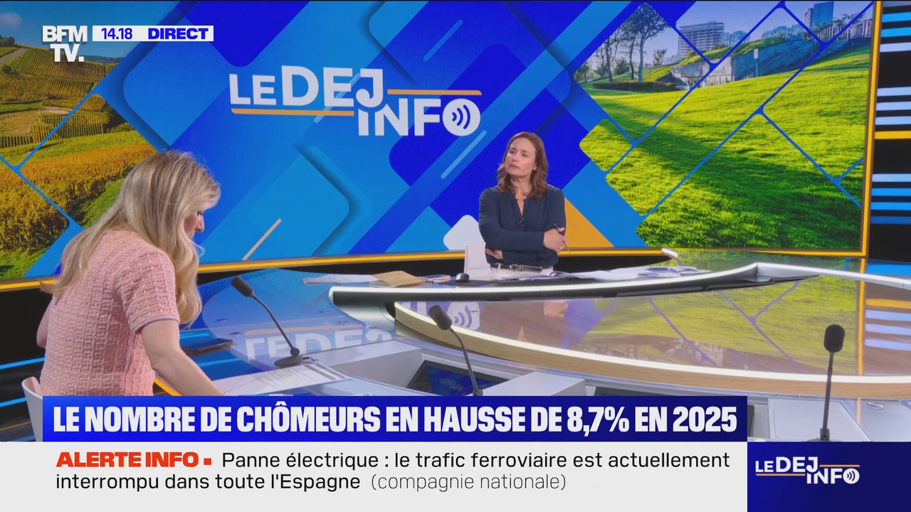 Le Déj info (BFMTV)_2025_04_28_10_55_34.ts_snapshot_02.24.09.832