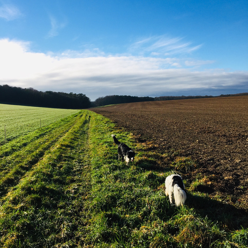 89C3A1BC-4833-47B7-A14C-6D4A24C2636B