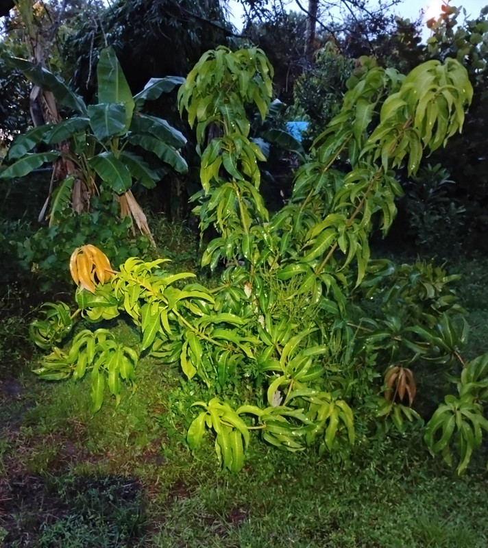 IMG 20260901 195253002 2