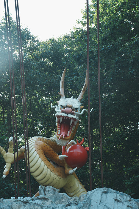 DSC02347