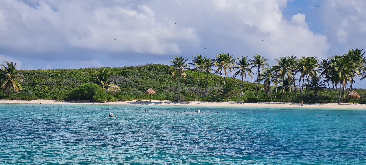 Isla Mujeres e Isla Contoy, un regalo de la naturaleza - Riviera Maya en Navidad (12)