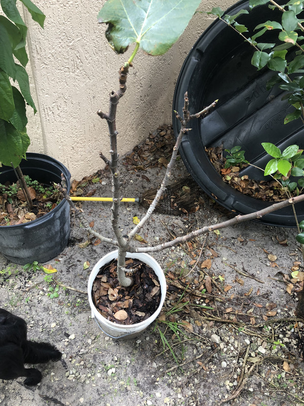 48D476CE-90B8-4A91-925D-30141F7C9D5F