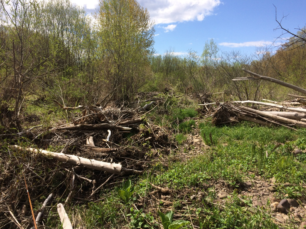 D5FACB6F-0627-4242-A848-30BAEDC2D73D