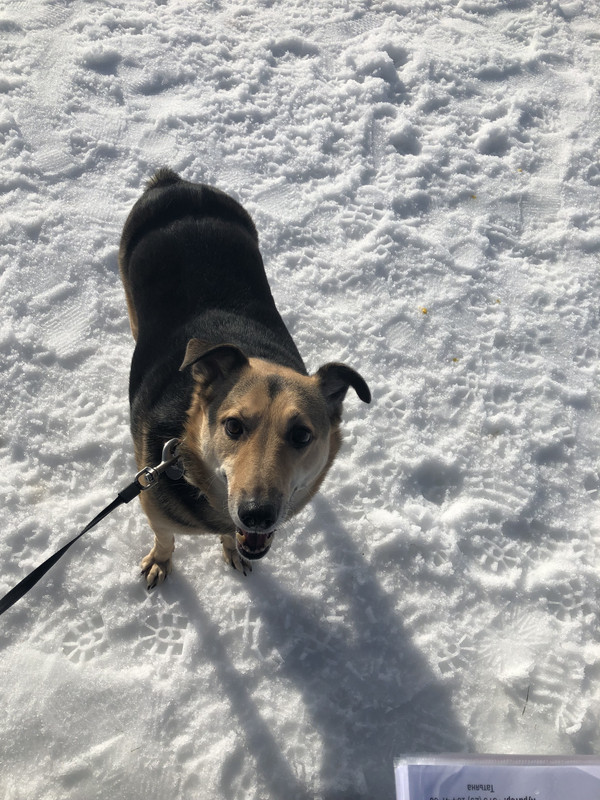 B17EB91D-13F4-47CD-8822-C25E8040EB72