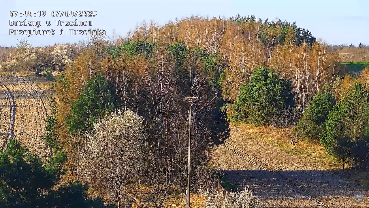 07042025krajobraz