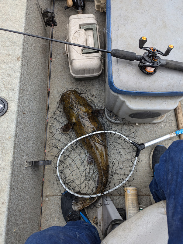 PXL_20240903_155006612