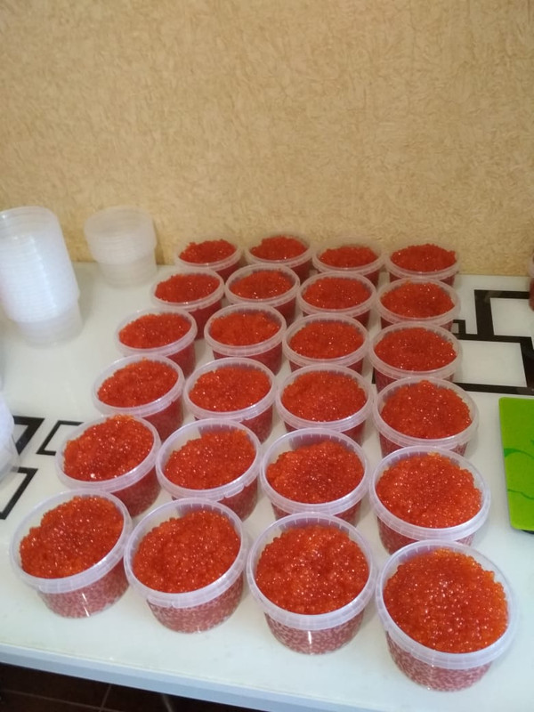 IMG-20181021-WA0008 (1)