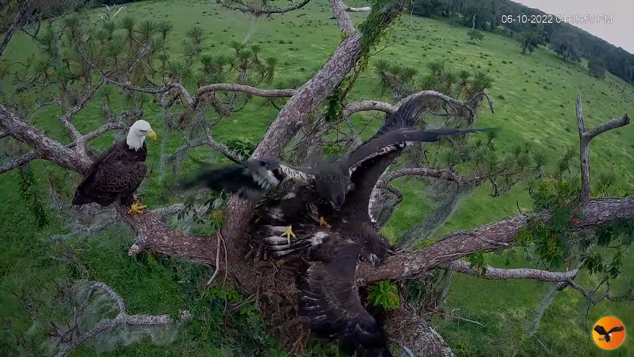 EC 4K Overhead Cam 1-45-34 screenshot