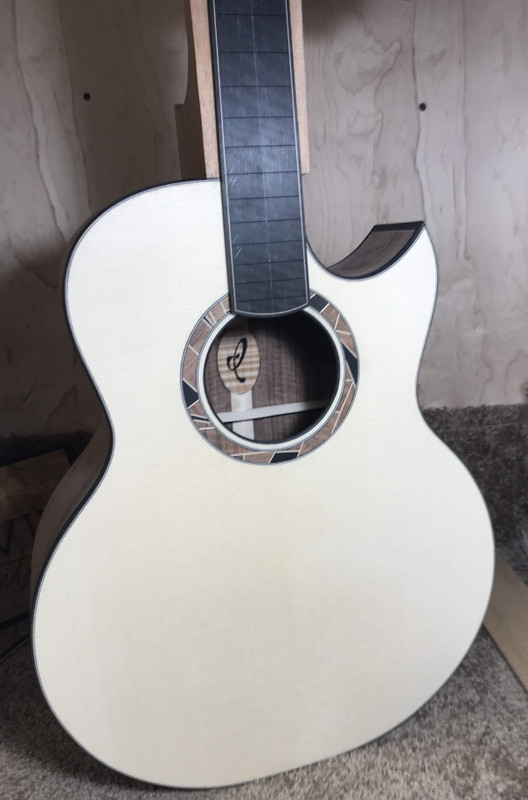 15.IrvinSJCutawayCustom.complete body and fingerboard01