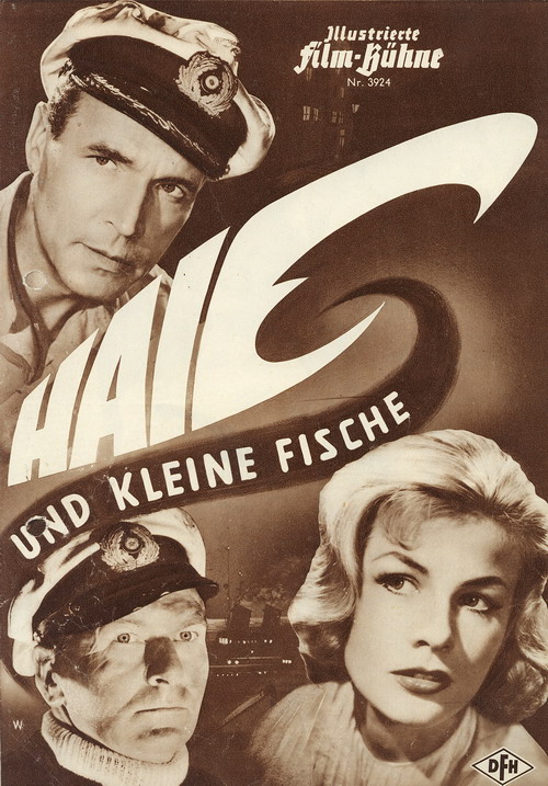 haie_und_kleine_fische__bildgroesse_aendern_204