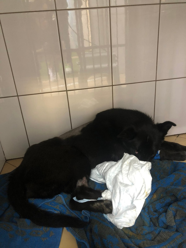 57HM8SDnf7-h92evPtzxJ8tEmC3lsvV_YgV2im3UawsF0oQMfRcGINnpA0Vt3s08QHlf1nG881kEP3sTSbTYGd8U