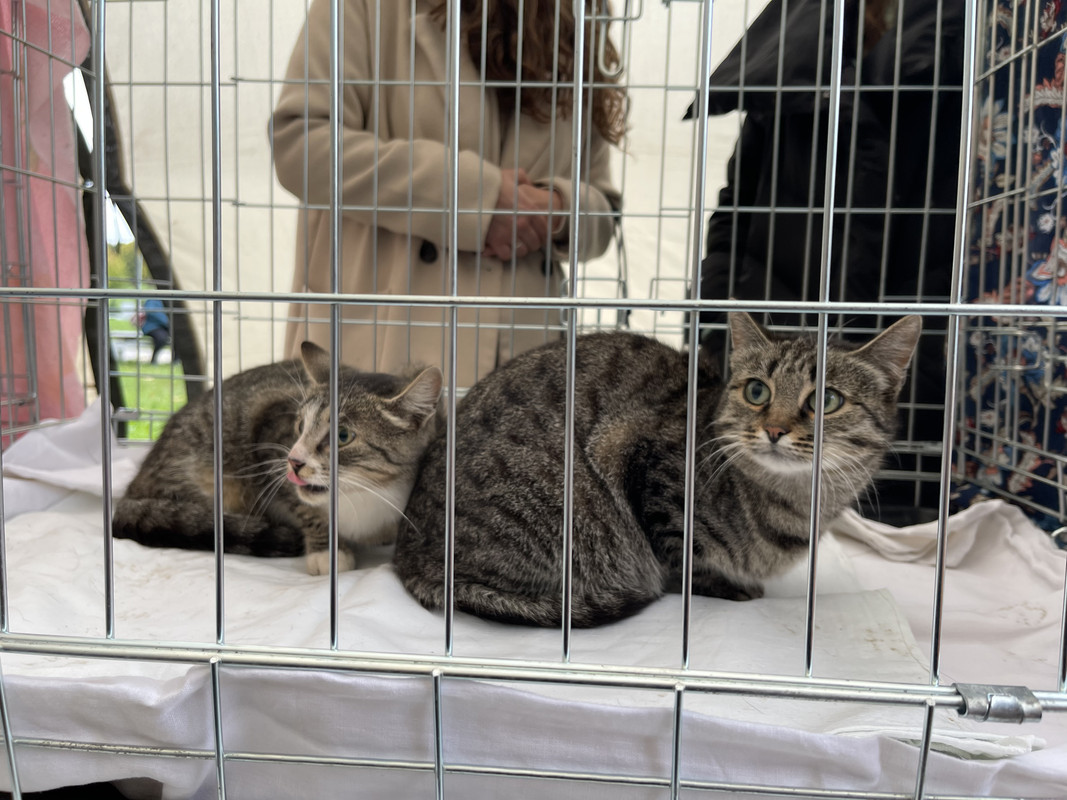 23ECD148-86FA-4BF9-A24C-C6390BA6BD16