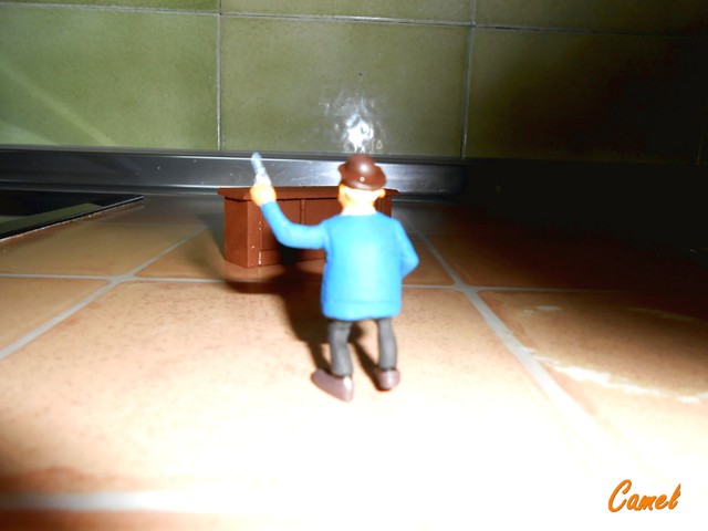 DSCN6165