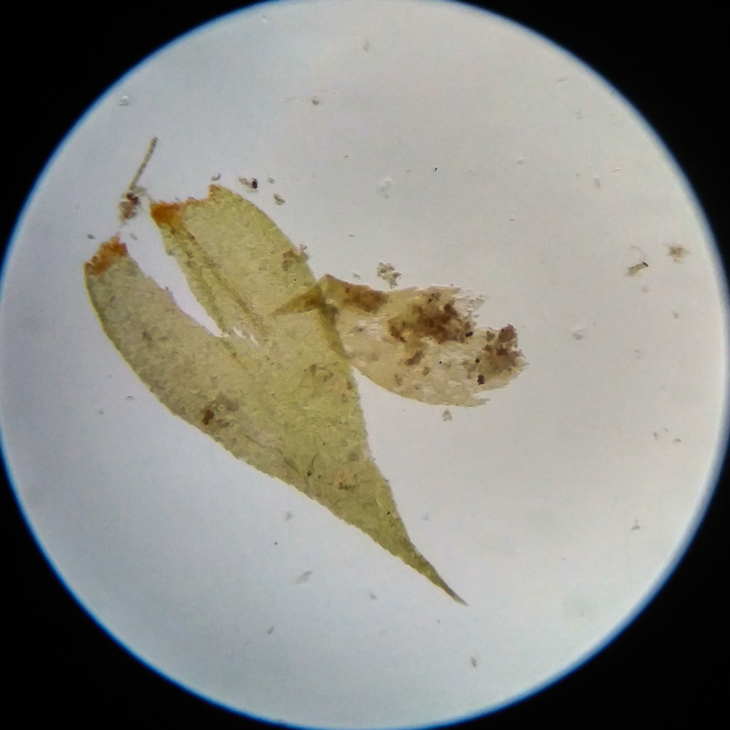 IMG 20250617 111344 HDR