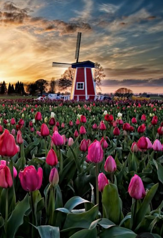 Screenshot_20230719_223341_Pinterest