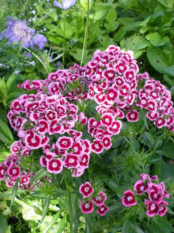 photo 31 2025 12 24 16 16 39