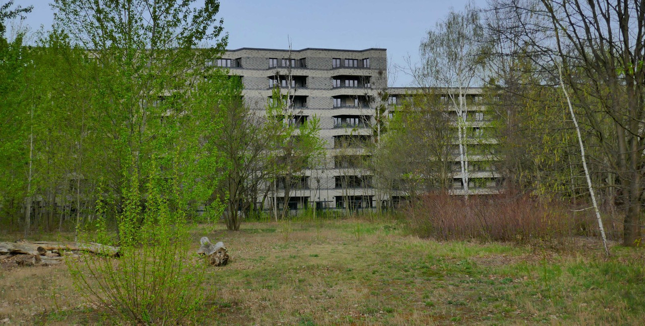 Bild: https://i.postimg.cc/8cD4Dcgn/P1190272.jpg
