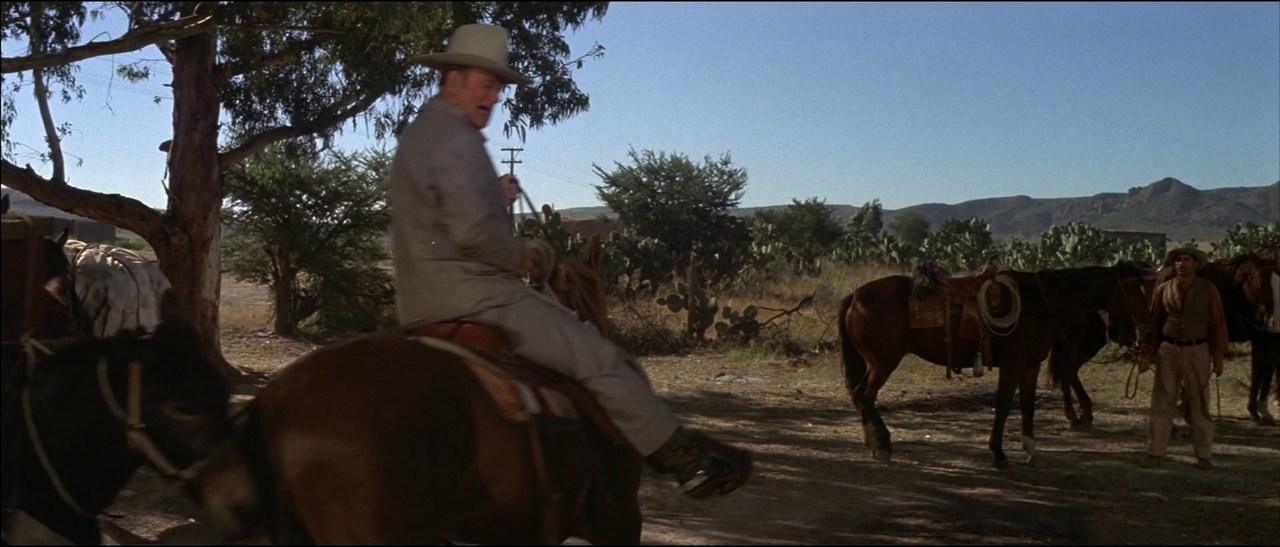 vlcsnap-2023-11-03-15h23m47s547