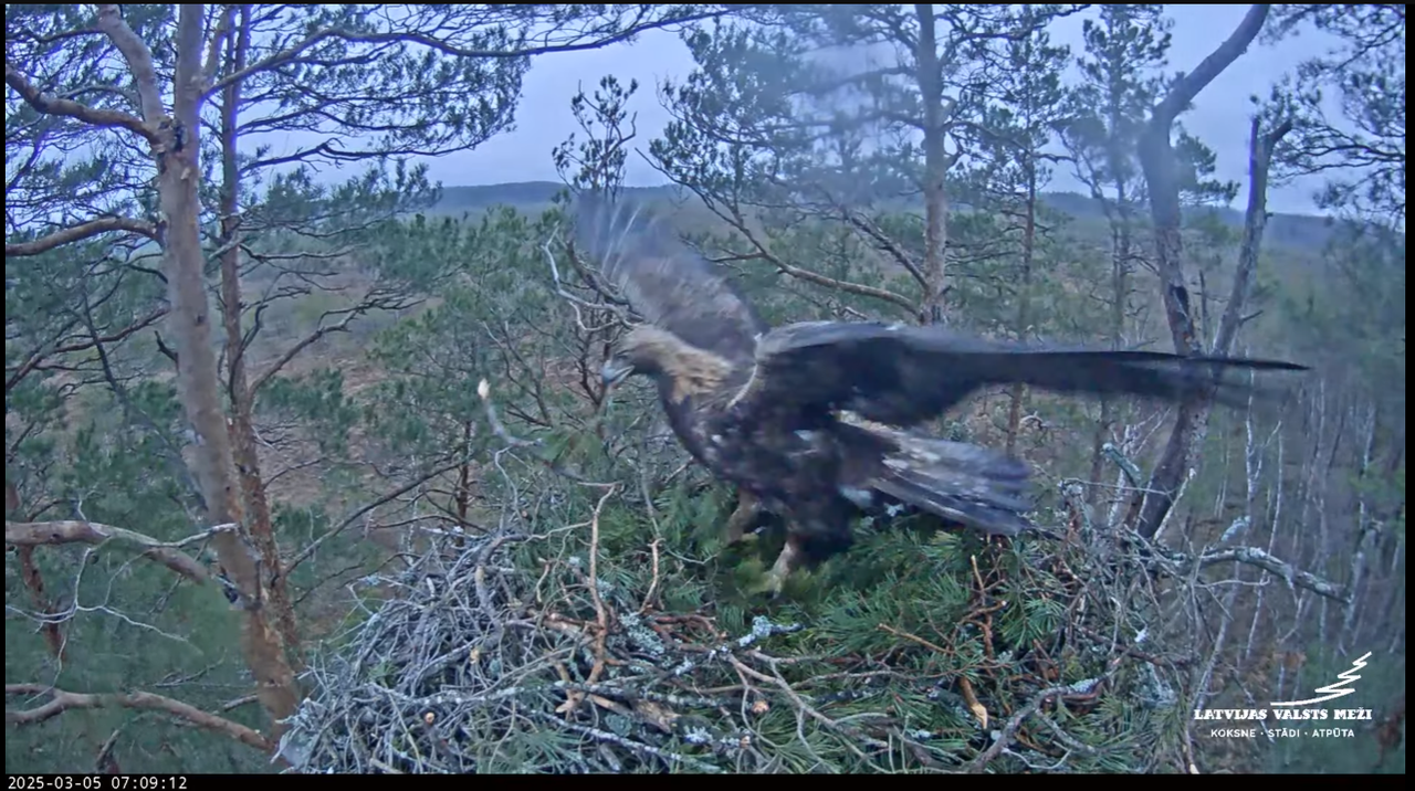 Ekrānuzņēmums 2025-03-05 075445