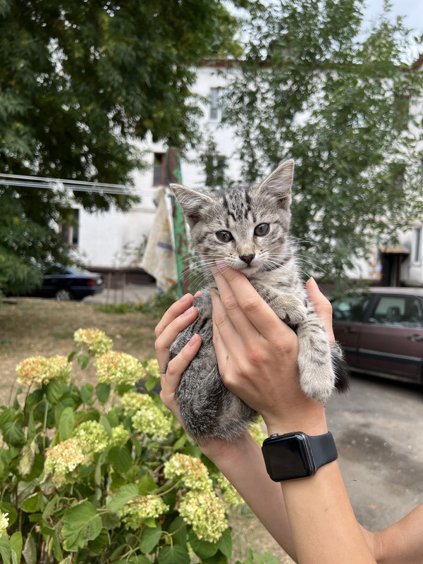 3815CEE1-3F77-4BE0-8106-6B1038490A80