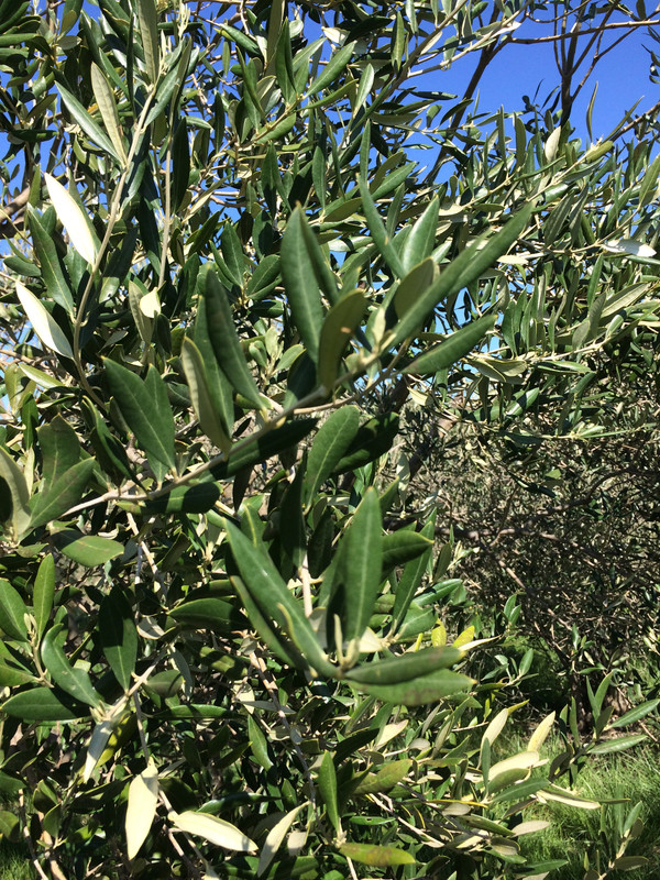 1F904E08-2DC7-4D6B-A4F5-67CFB375AD28